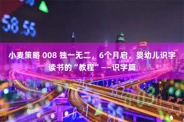 小麦策略 008 独一无二，6个月启，婴幼儿识字读书的“教程”——识字篇