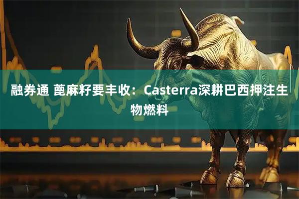 融券通 蓖麻籽要丰收：Casterra深耕巴西押注生物燃料
